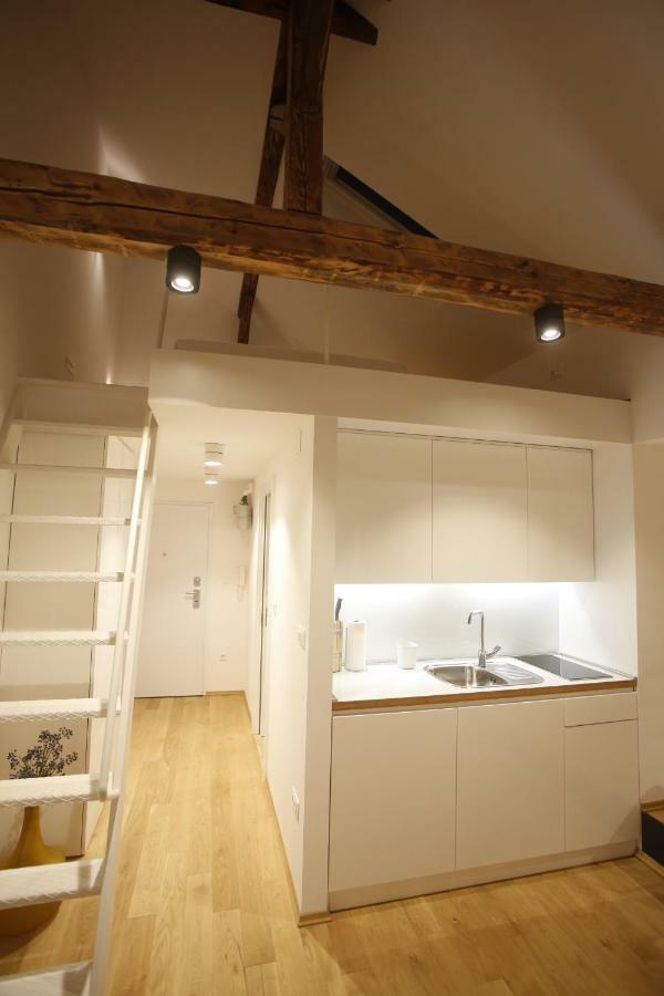 Studio Apartman Olaf ซาเกร็บ ภายนอก รูปภาพ